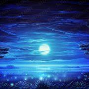 lions_paradise_background_night
